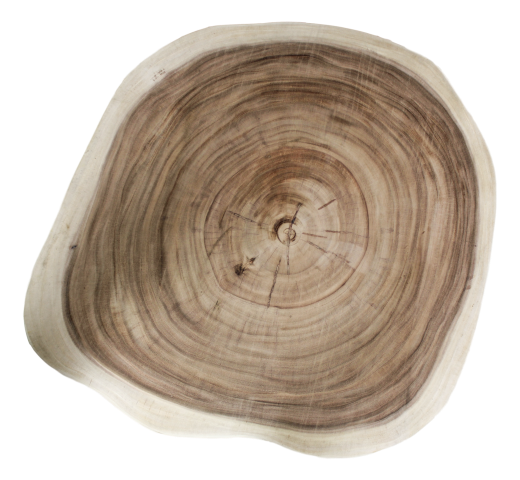 HSM Collection-Runde Beistelltisch Baumstamm-ø40x40-Natur-Munggur