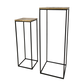 HSM Collection-Pflanzenständer S/2-40x40x110/30x30x90-Natur/Schwarz-Mango/Metall