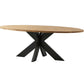 HSM Collection - Ovaler Tischplatte - 220x110x4 - Natur - Teak
